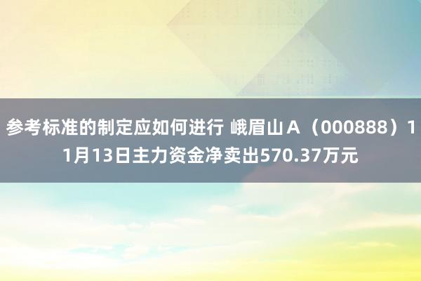 参考标准的制定应如何进行 峨眉山Ａ（000888）11月13日主力资金净卖出570.37万元