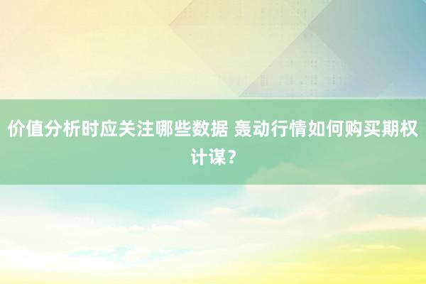 价值分析时应关注哪些数据 轰动行情如何购买期权计谋？