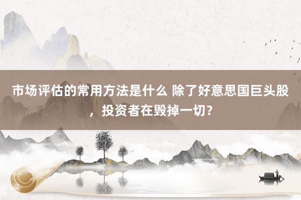 市场评估的常用方法是什么 除了好意思国巨头股，投资者在毁掉一切？