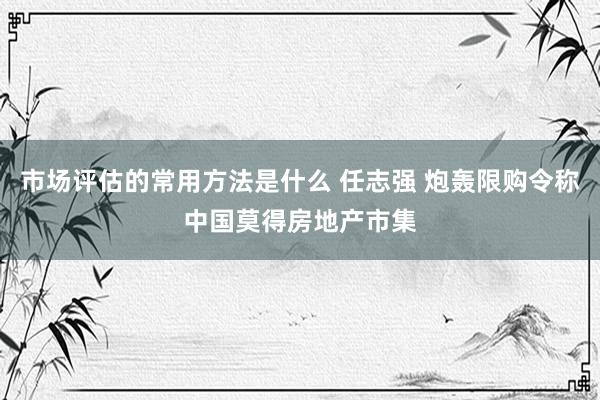 市场评估的常用方法是什么 任志强 炮轰限购令称中国莫得房地产市集