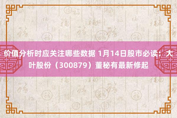 价值分析时应关注哪些数据 1月14日股市必读：大叶股份（300879）董秘有最新修起