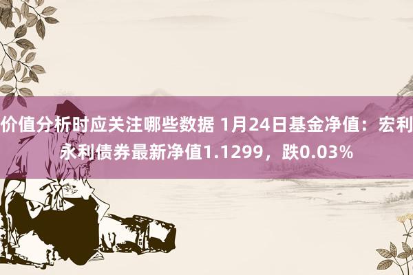 价值分析时应关注哪些数据 1月24日基金净值：宏利永利债券最新净值1.1299，跌0.03%