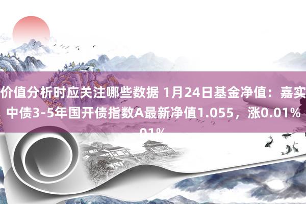 价值分析时应关注哪些数据 1月24日基金净值：嘉实中债3-5年国开债指数A最新净值1.055，涨0.01%