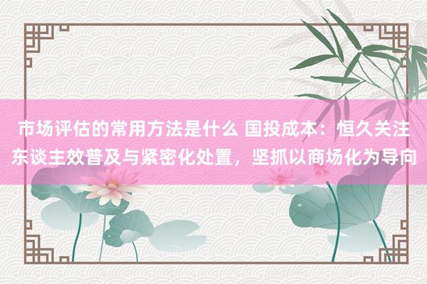 市场评估的常用方法是什么 国投成本：恒久关注东谈主效普及与紧密化处置，坚抓以商场化为导向