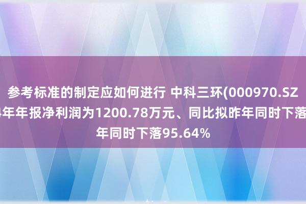 参考标准的制定应如何进行 中科三环(000970.SZ)：2024年年报净利润为1200.78万元、同比拟昨年同时下落95.64%